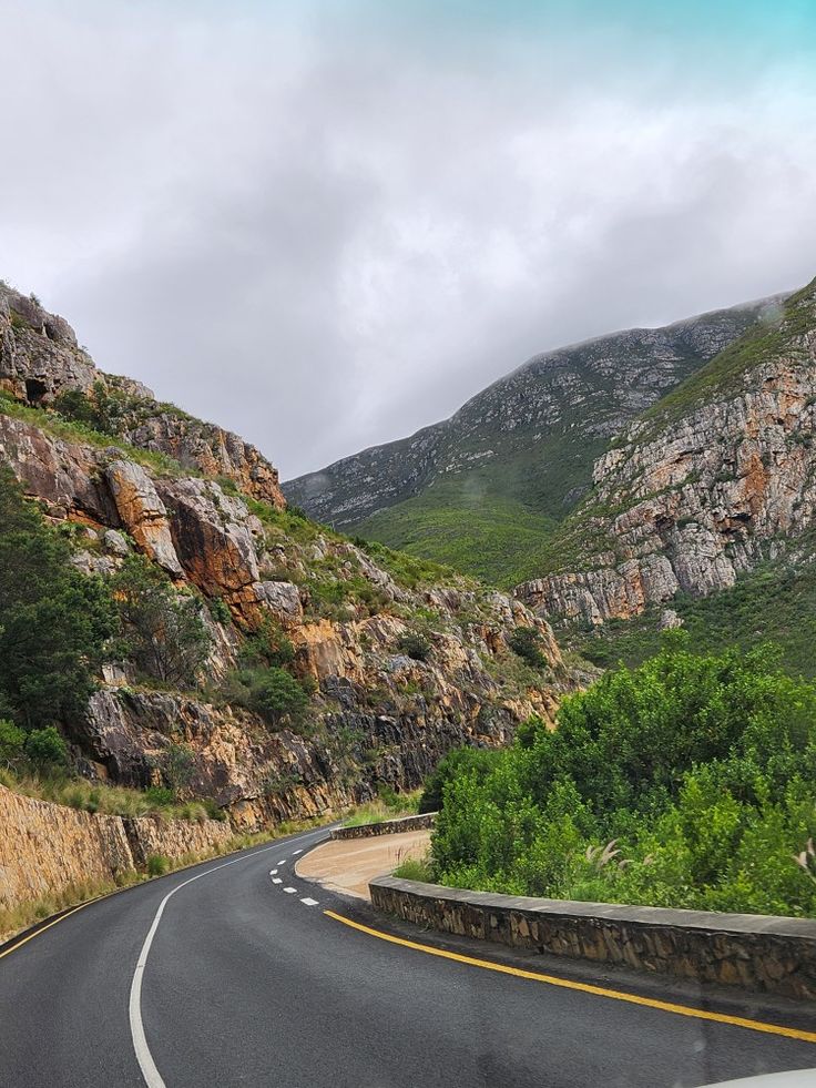 2-Day Scenic Garden Route Safari – Cape Town Adventure