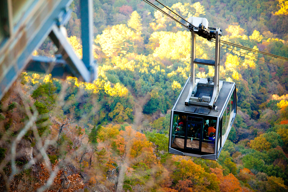 Mt. Seorak & Nami Island Shared Transport Tour (7 passengers max)