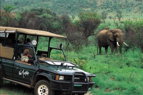 Safari de gama media en Kwa Maritane Bush Lodge – 4 días