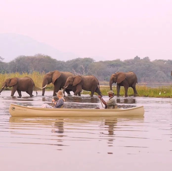 ½-Day Authentic Chobe River Big Five Safari