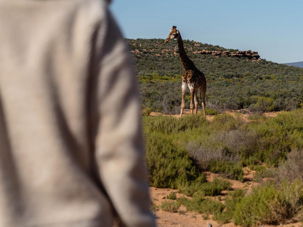 1-Day Aquila Wild Quad Escape