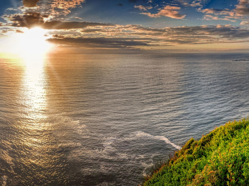 5-Day Premium Cape Town Escape at the Radisson