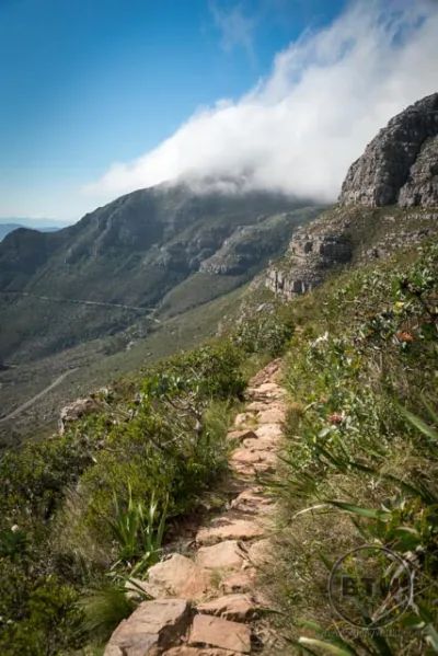 1 day Cape Town hiking adventure