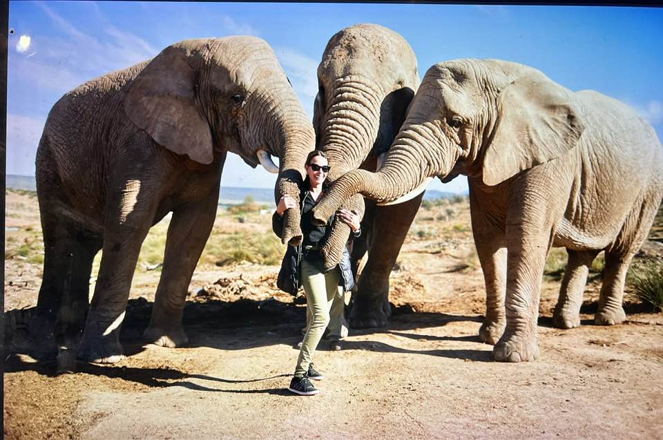 5-Day South Africa Garden Route & Addo Escape