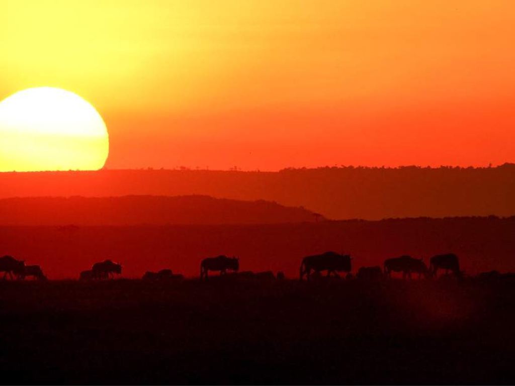 Safari de 7 Días: Amboseli, Lago Naivasha y Maasai Mara