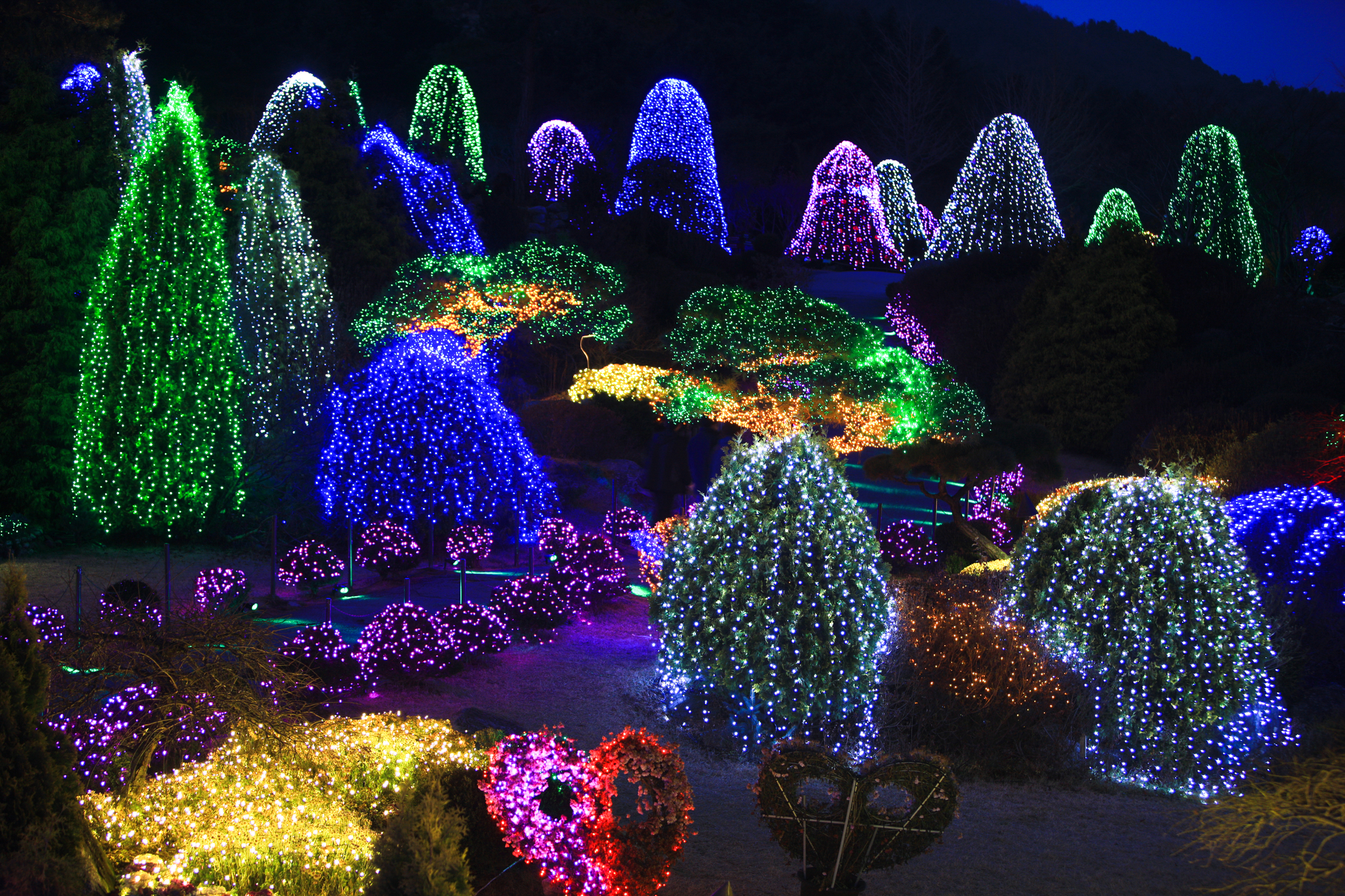 Enjoy the lighting festival at Garden of Morning Calm: a lamp festival that only comes in winter!