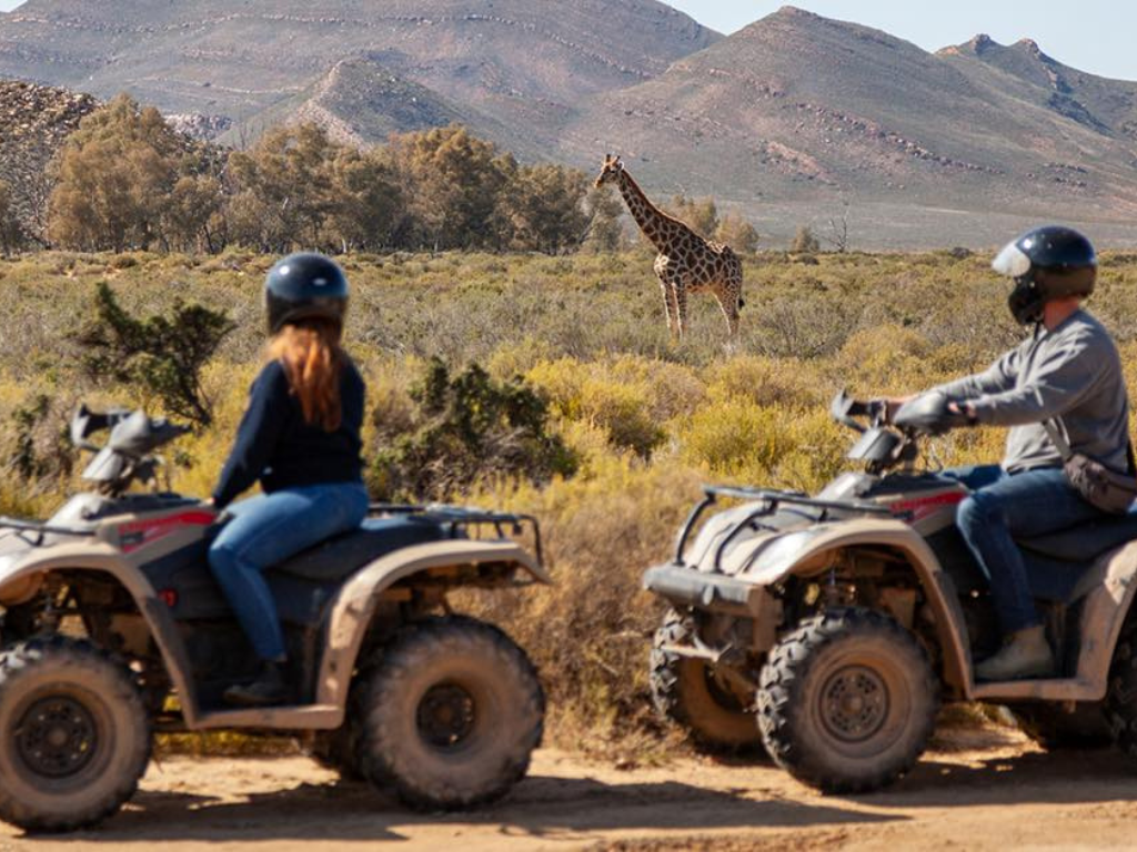 1-Day Aquila Wild Quad Escape