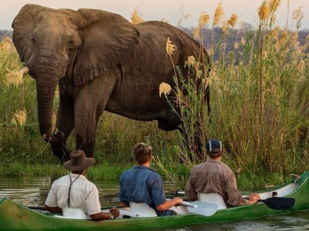 4-Day Botswana Safari – Chobe & Okavango