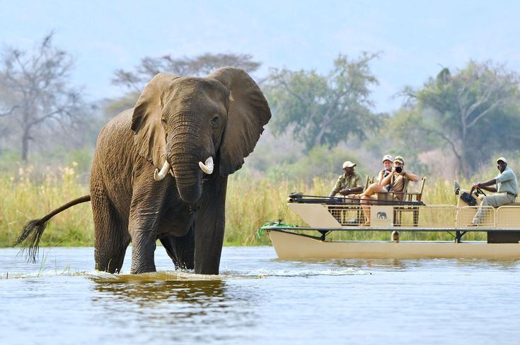 3-Day Chobe Safari Adventure -Boat Cruises & Game Drives