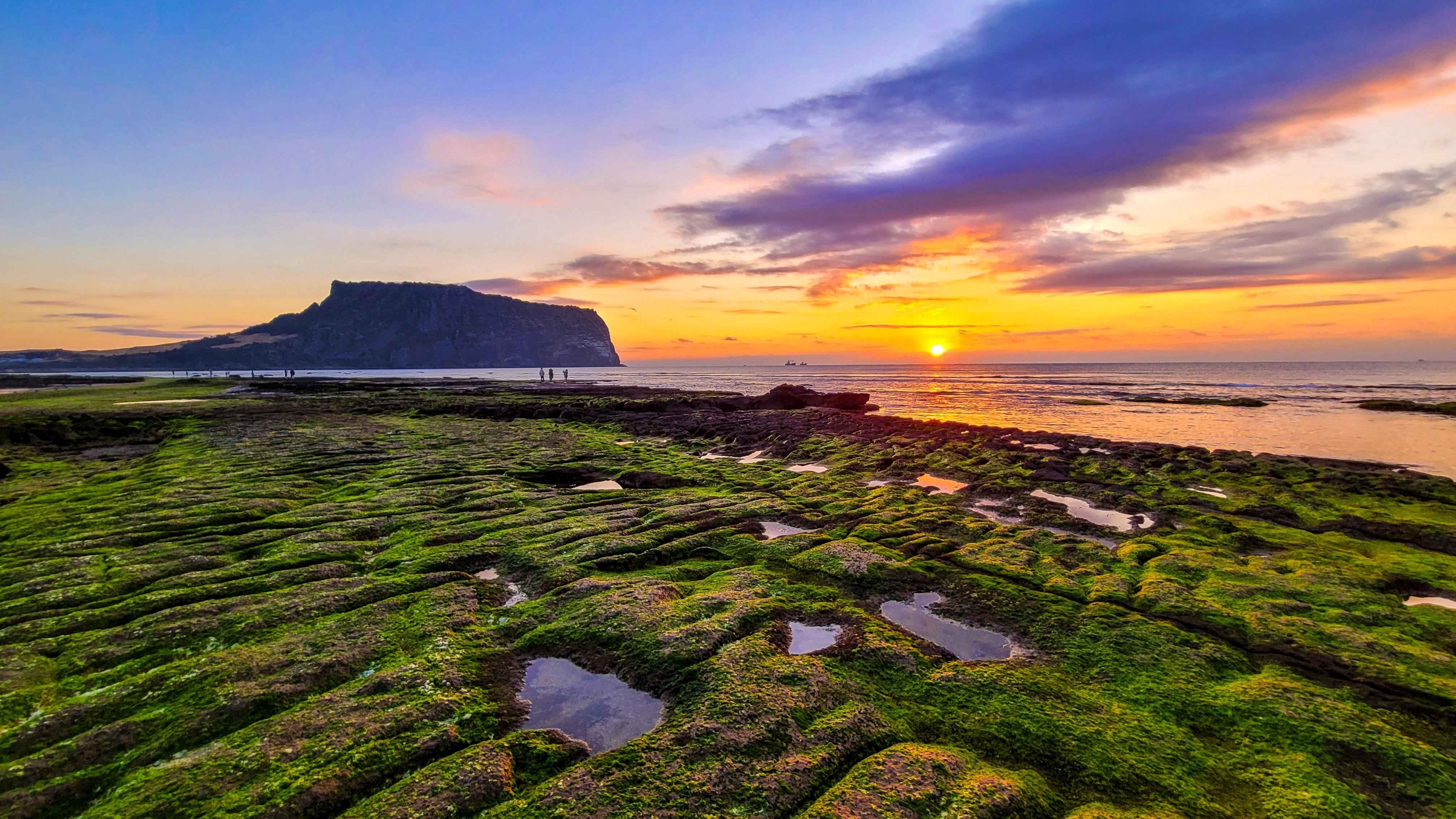 Jeju Customized Private Tour