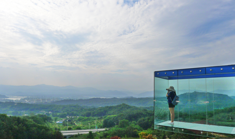 Alpaca World , Jade Garden & Gubongsan Mountain Observatory Cafe Street Private Transport Tour (9 passengers max)