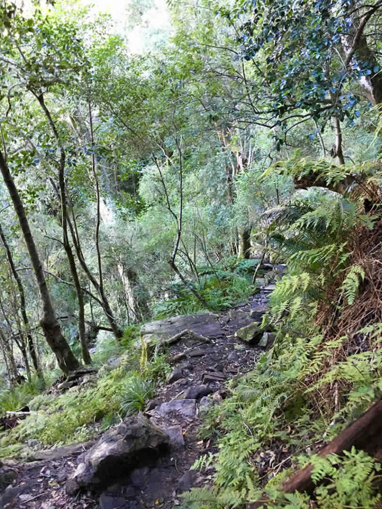 1-Day Skeleton Gorge Guided Morning Hike | ±6 Hours