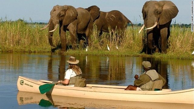 1-Day Wild Chobe Big Five Safari – Kasane Pickup