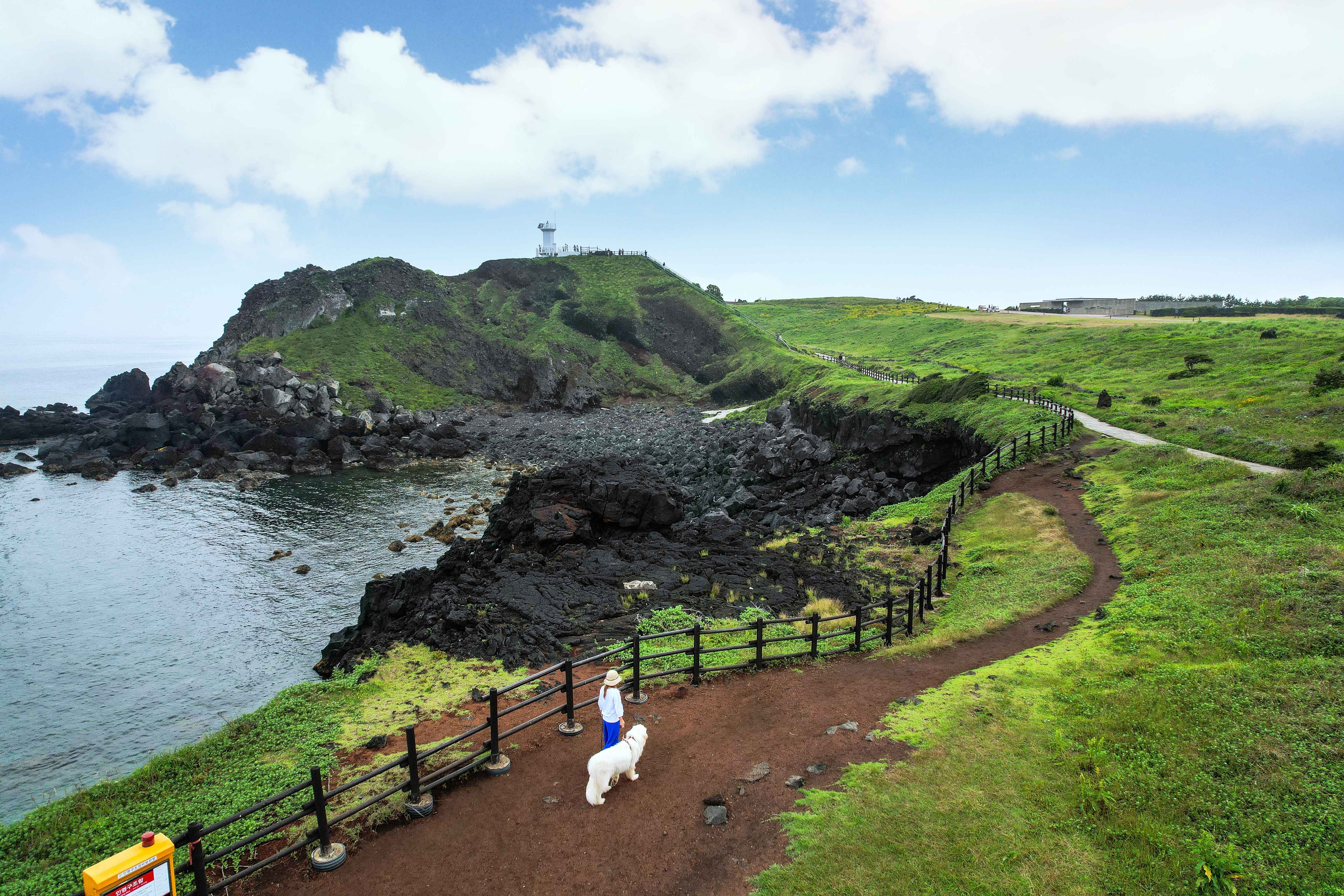 Jeju Customized Private Tour