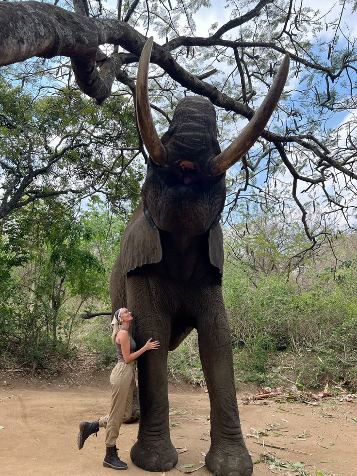 1 day Kruger National Park safari from Hazyview