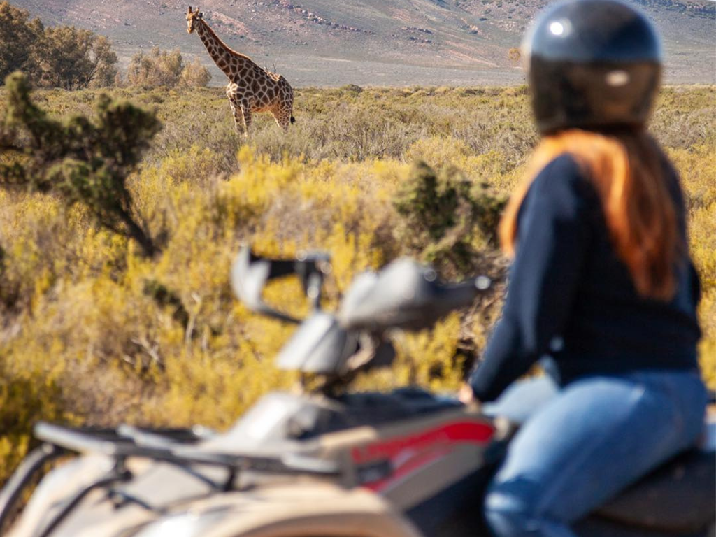 1-Day Aquila Wild Quad Escape