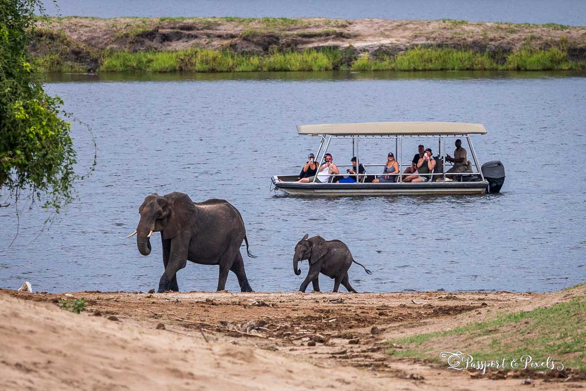 3-Day Authentic Chobe Safari – Big Five & Luxury Stay
