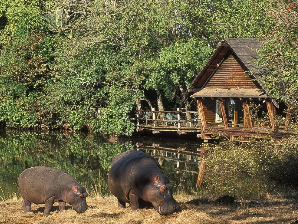 2-Day Eswatini Tour – Add-On to Your Safari