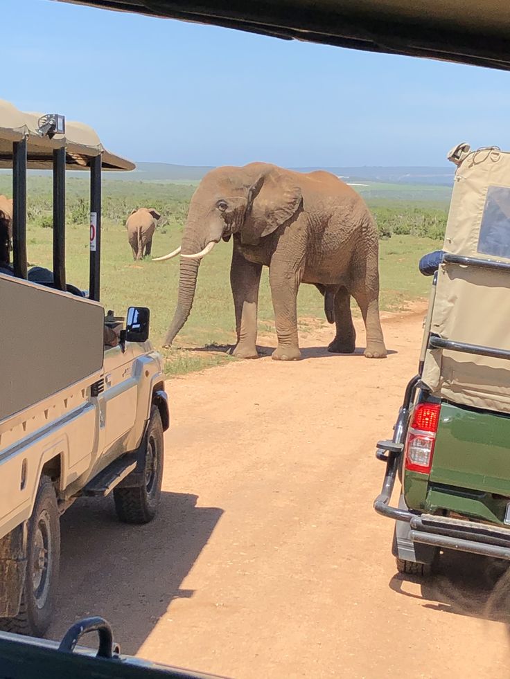 1-Day Wild Chobe Big Five Safari – Kasane Pickup