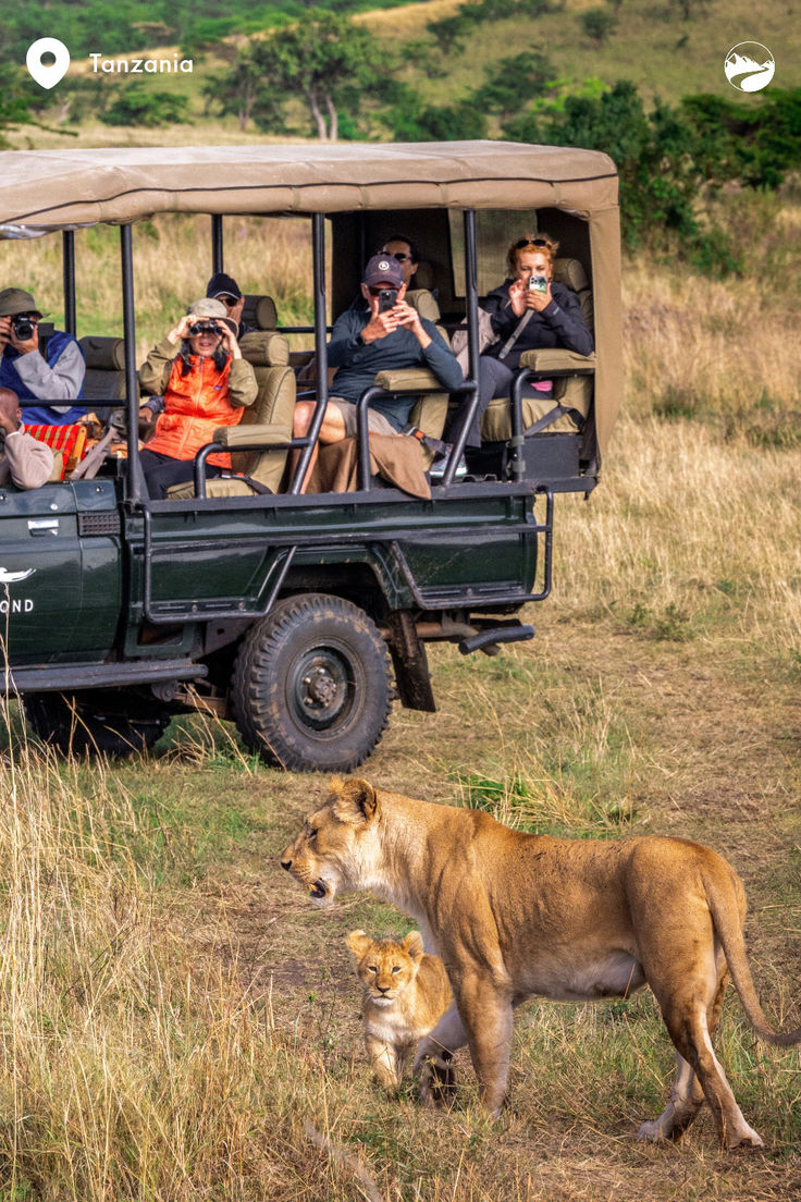 3-Day Cape Town Wildlife Getaway