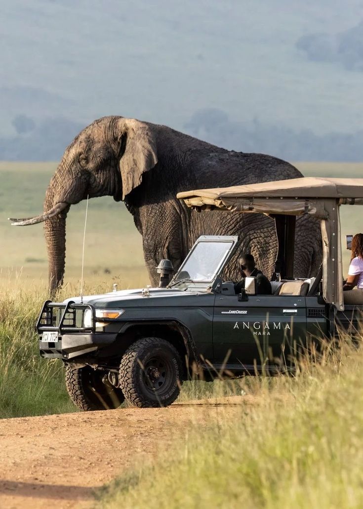 5-Day Madikwe Game Reserve Safari