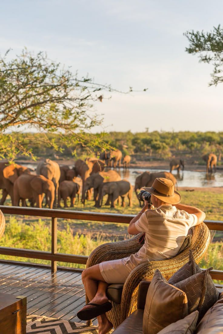 5-Day Madikwe Game Reserve Safari