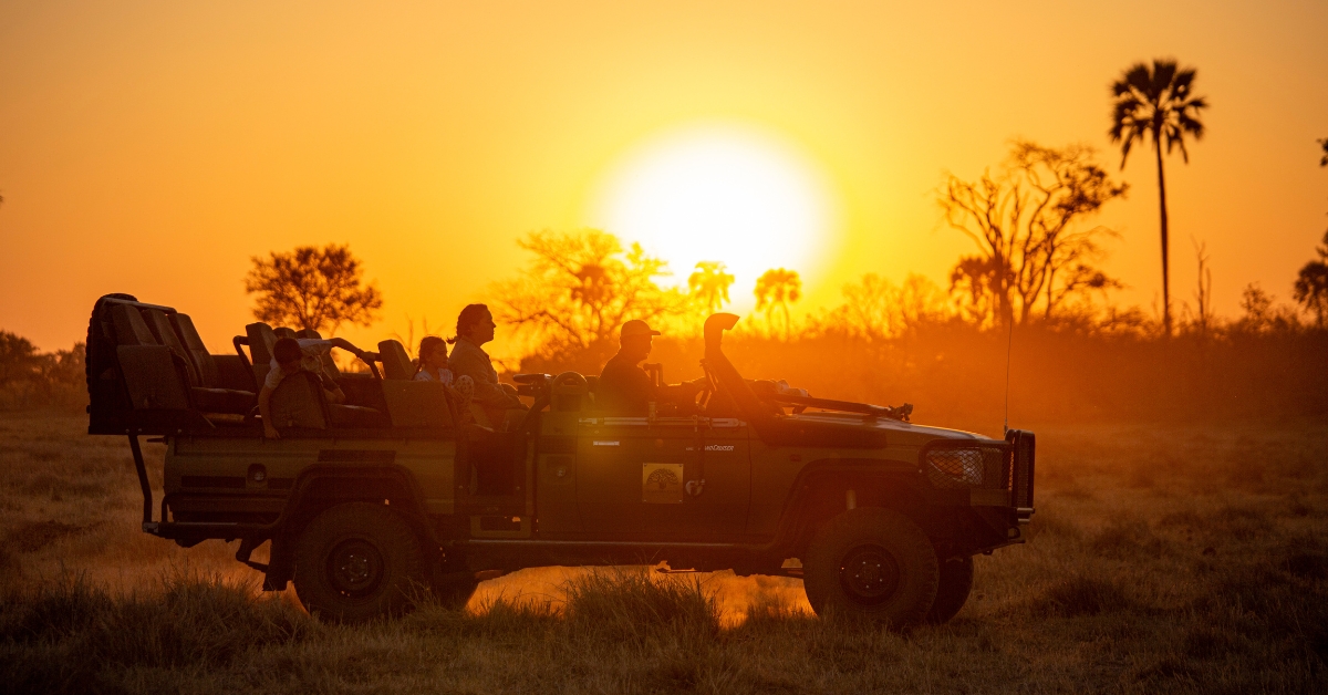 3-Day Cape Town Big Five Safari & Elephant Encounter