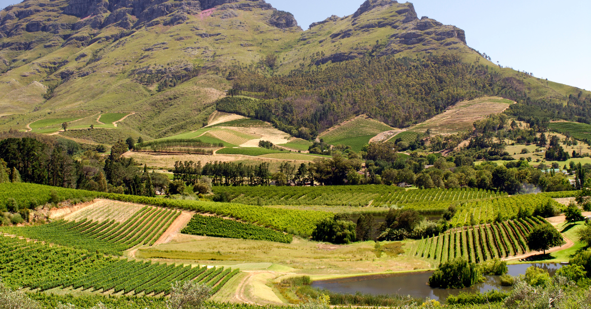 4-Day Safari & Scenic Tour – Cape Town to Garden Route