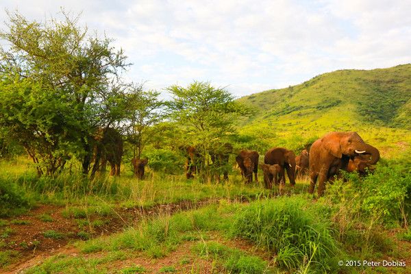 2-Day Authentic Big Five Camping Safari at Pilanesberg
