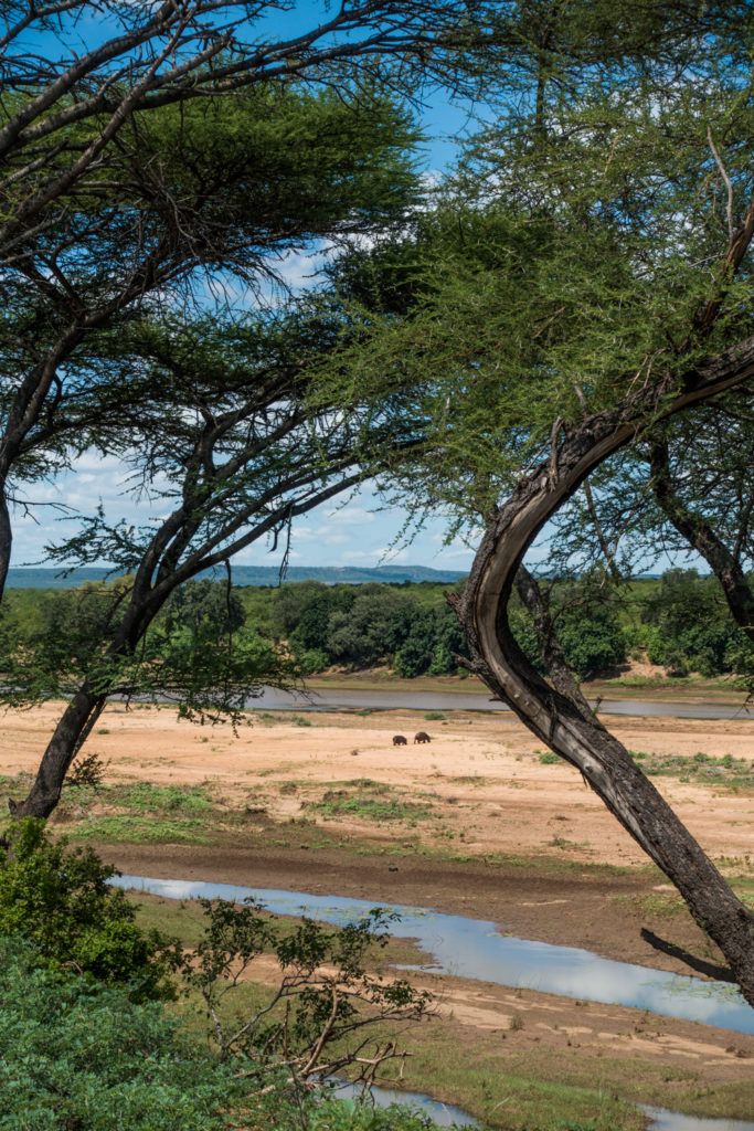 2-Day Luxury Kruger Safari – Big Five Adventure