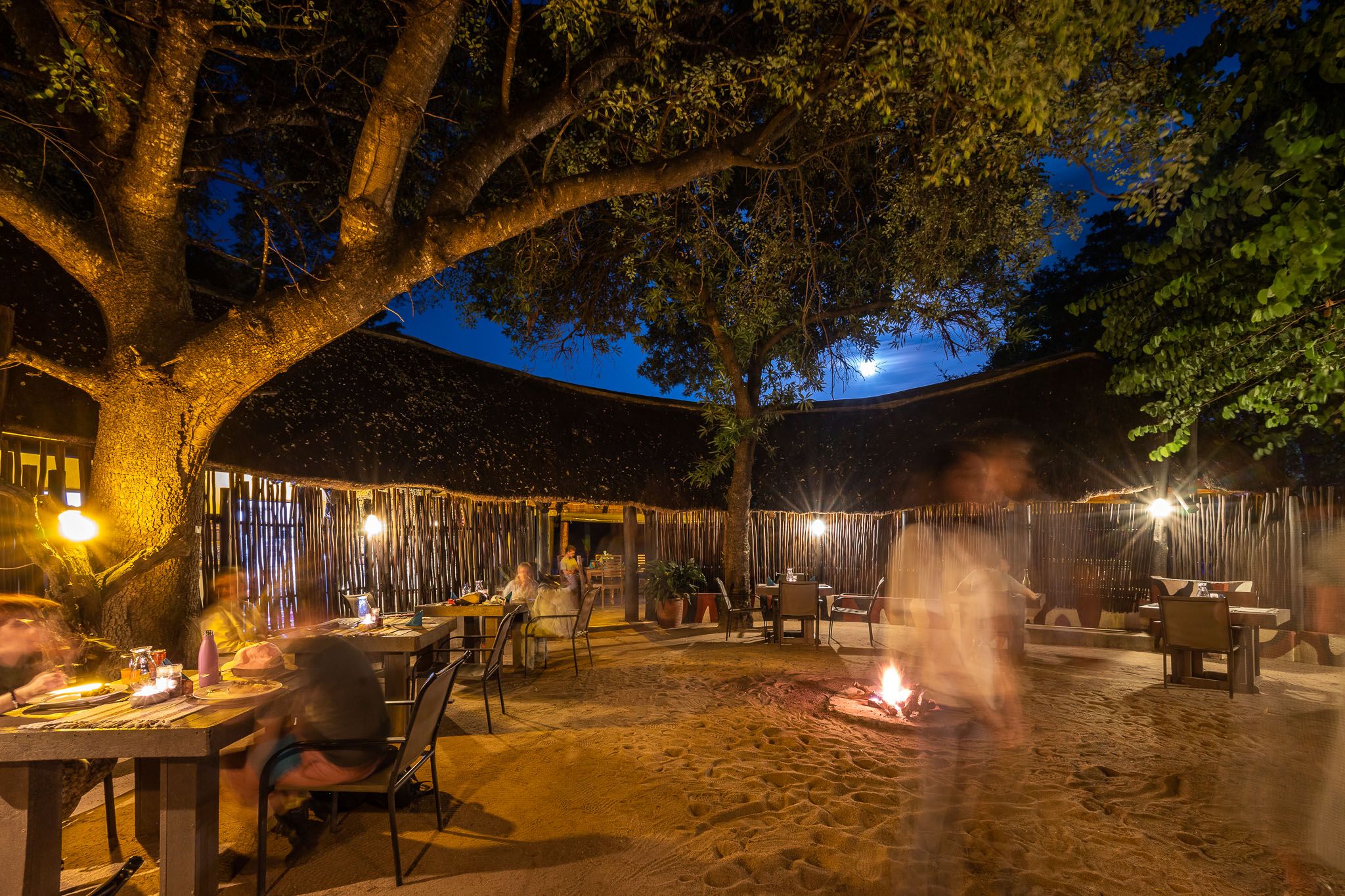 3-Day Authentic Sabi Sands Big Five Safari