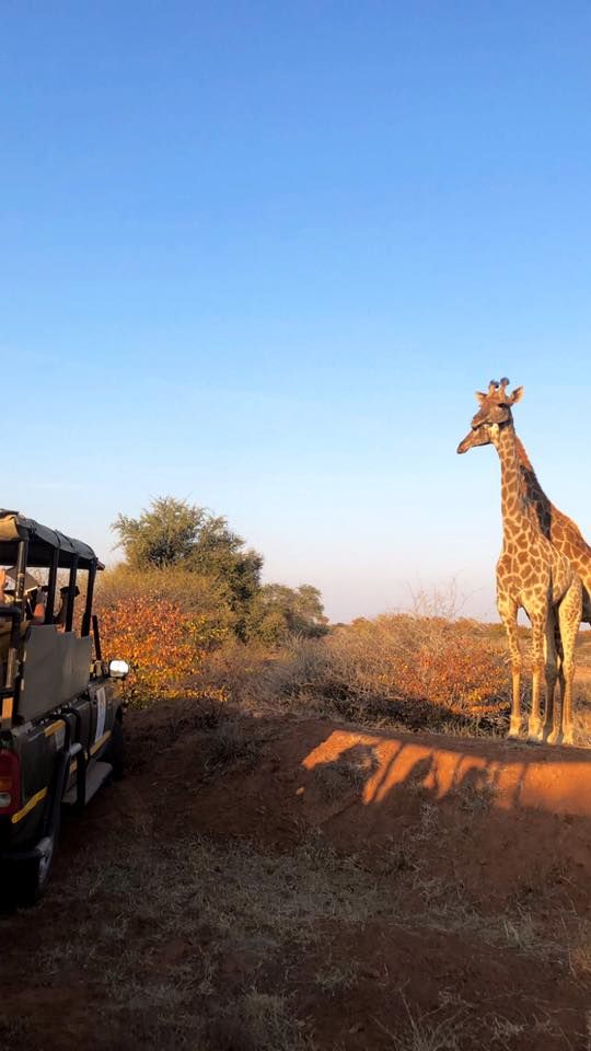 15-Day Southern Africa Adventure: Wildlife, Cities & Culture