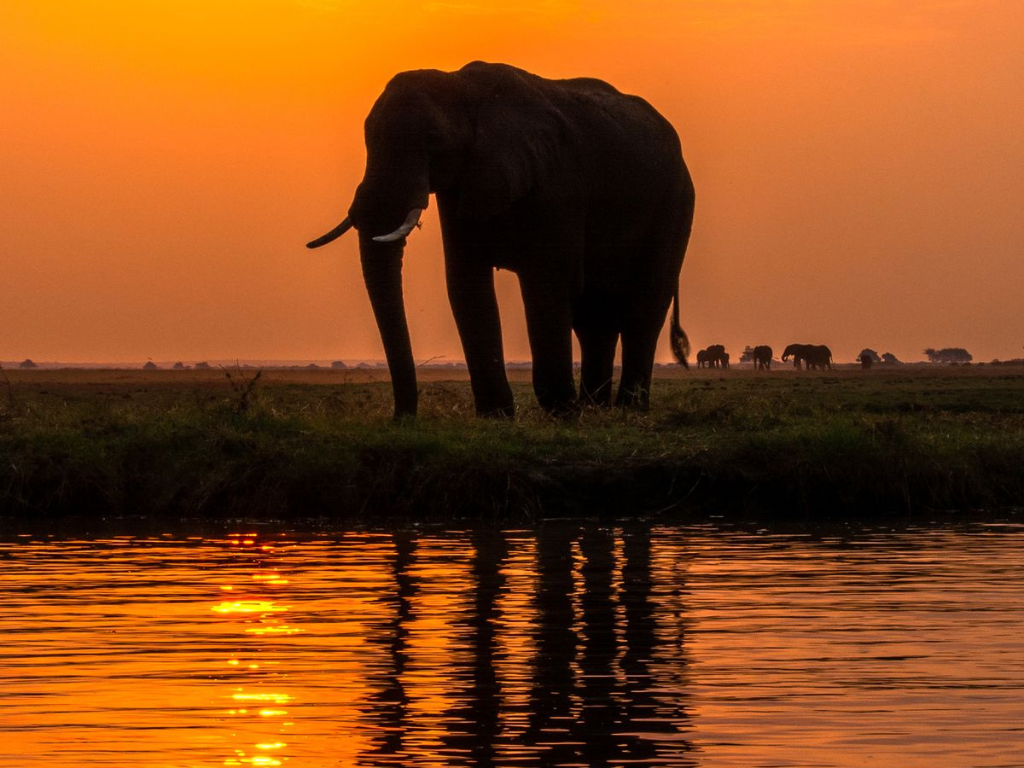 3-Day Wildlife Combo – Victoria Falls & Chobe Safari