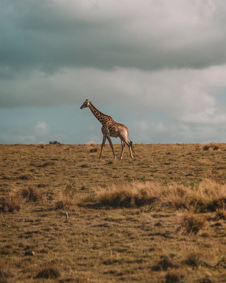 3-Day Cape Agulhas, Safari & Winelands Experience