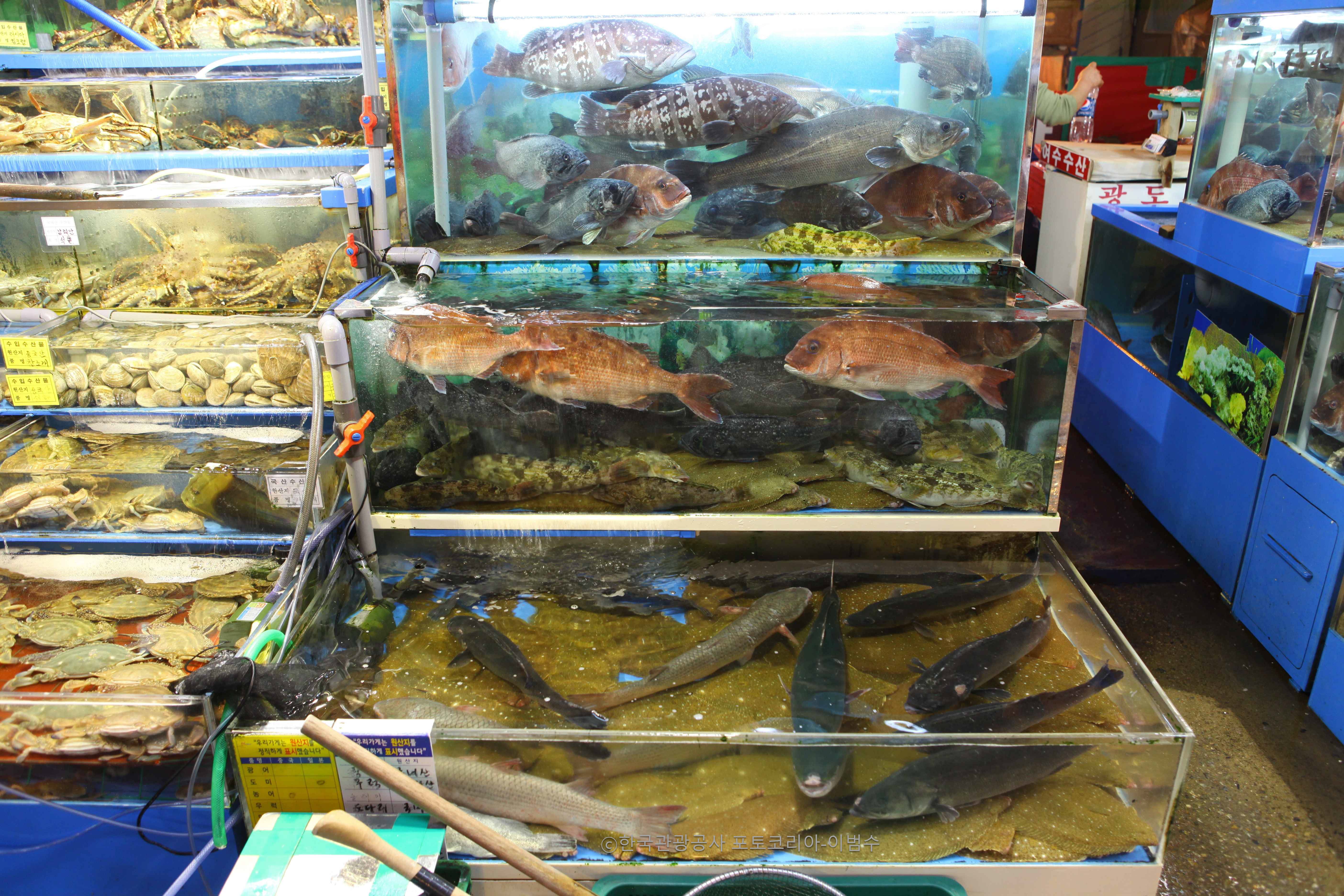 Seoul Customized Private Tour