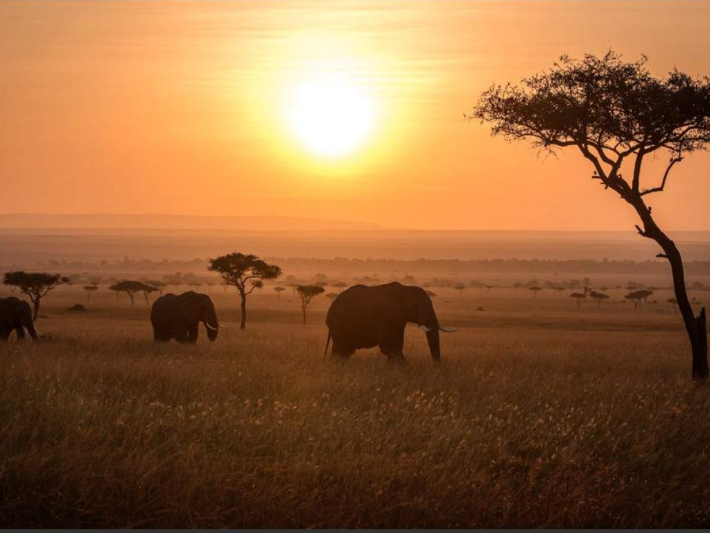 Safari de 7 Días: Amboseli, Lago Naivasha y Maasai Mara