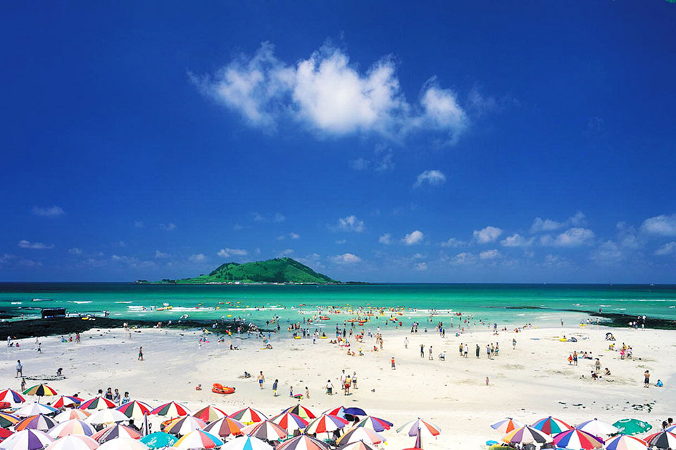 Jeju West Coast Shared Transport Tour (7 passengers max)