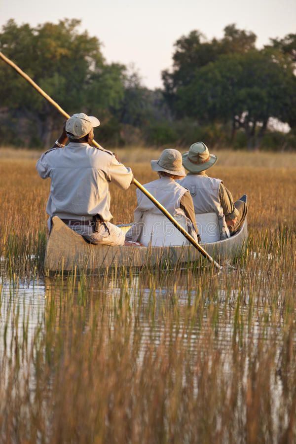 2-Day Okavango Delta Luxury Safari Escape