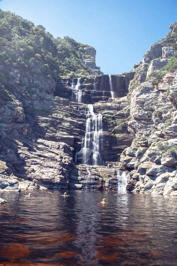 2-Day Scenic Garden Route Safari – Cape Town Adventure