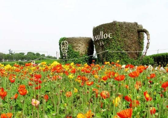 Jeju West Coast Shared Transport Tour (7 passengers max)