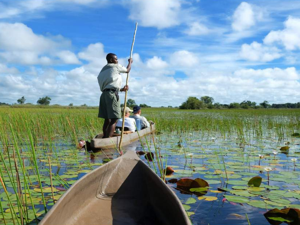 4-Day Mid-Range Experience – Chobe Big Five Safari