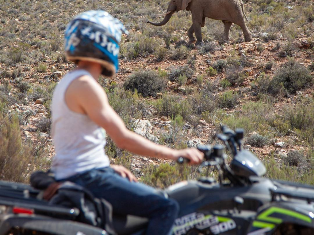 1-Day Aquila Wild Quad Escape