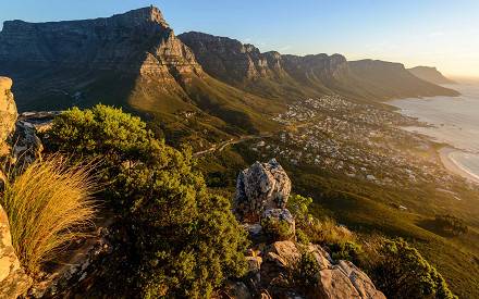 1 day Cape Town hiking adventure
