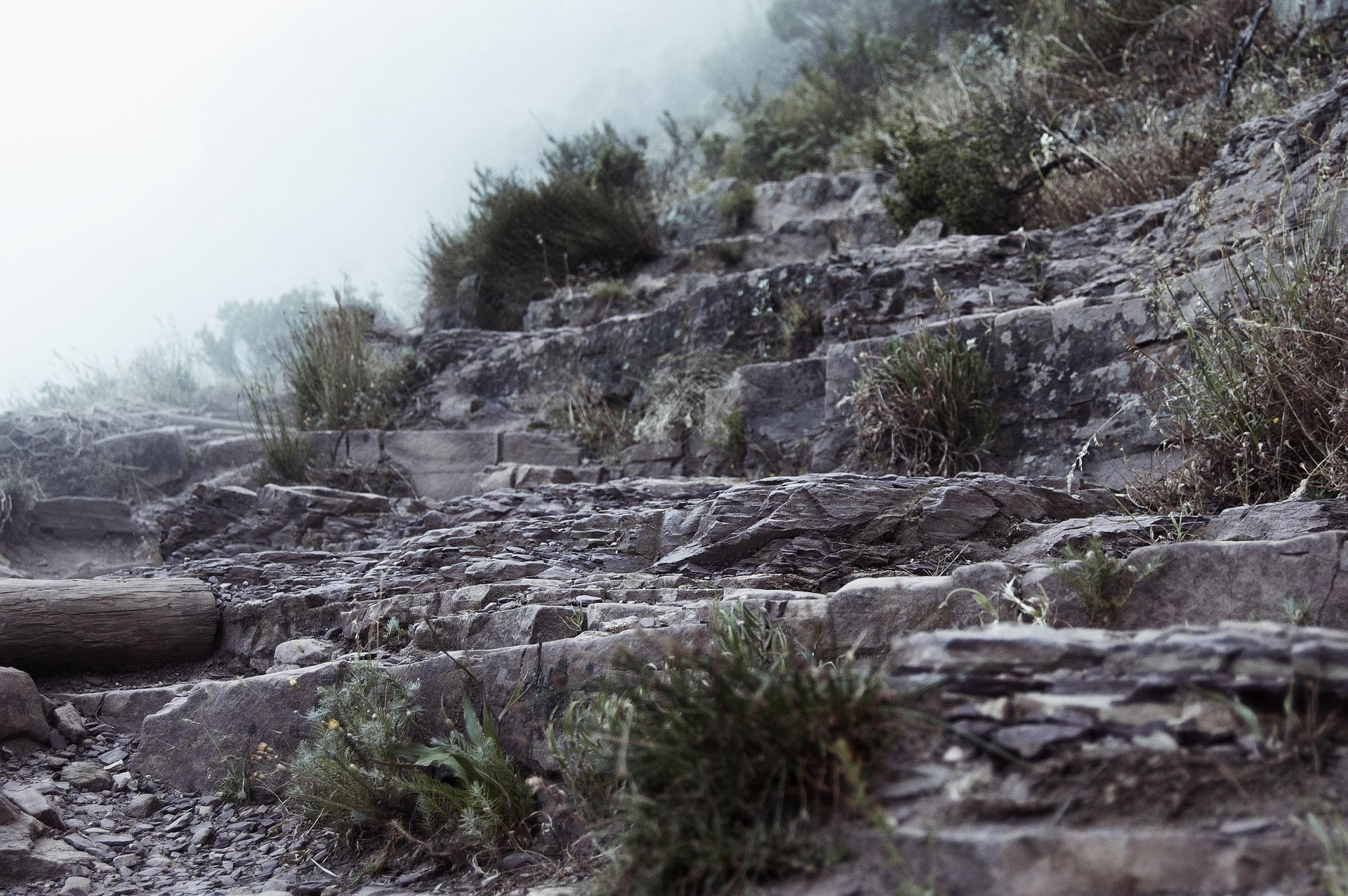 1/2 Day Lion’s Head Summit Experience | Sunrise, Sunset or Late Afternoon Hike (±3.5 hrs)