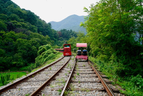 Gangchon Railbike, Nami Island & Garden of Morning Calm OR Petite France Private Transport Tour (9 passengers max)
