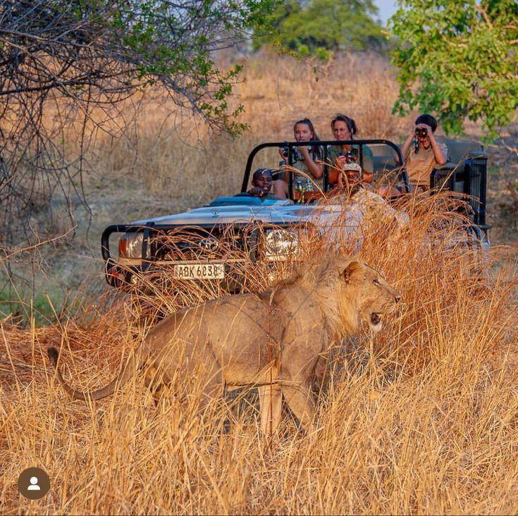 2-Day Luxury Kruger Safari – Big Five Adventure