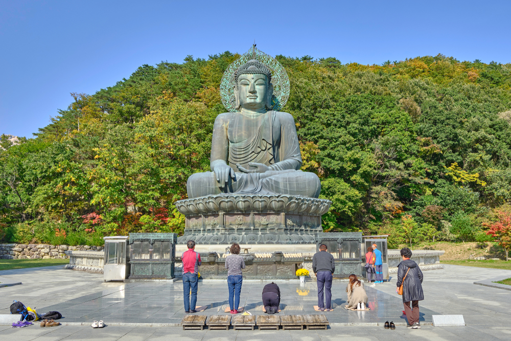 Mt. Seorak & Nami Island Shared Transport Tour (7 passengers max)