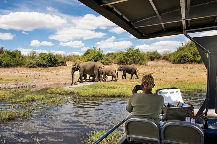 1-Day Wild Chobe Big Five Safari – Kasane Pickup