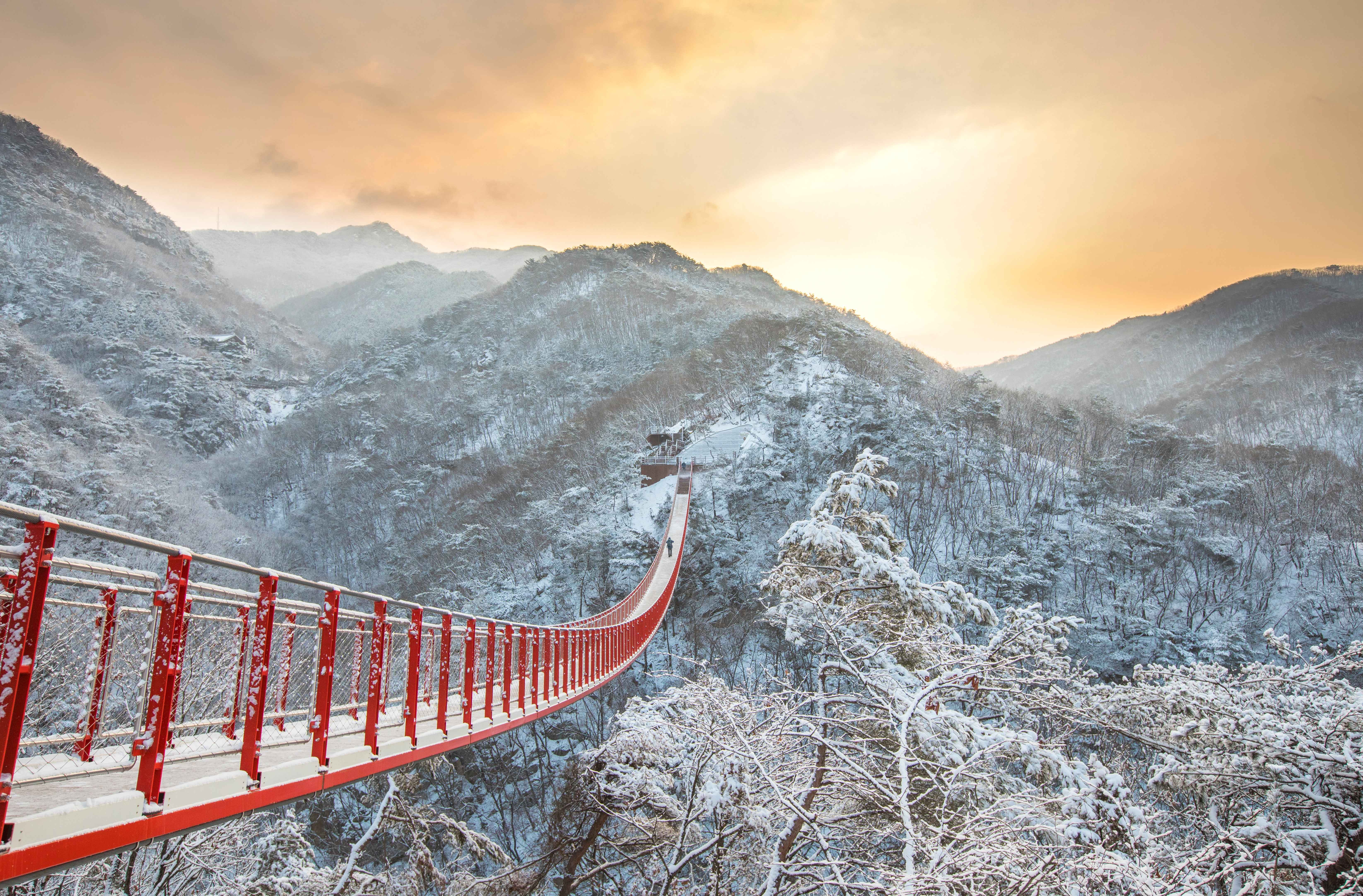 Best Korea DMZ Tour from Seoul (and Suspension Bridge)