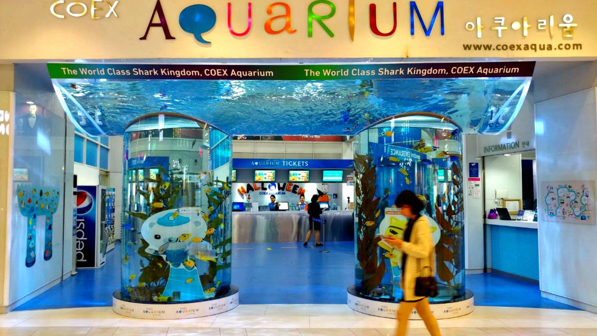 Discounted COEX Aquarium Ticket